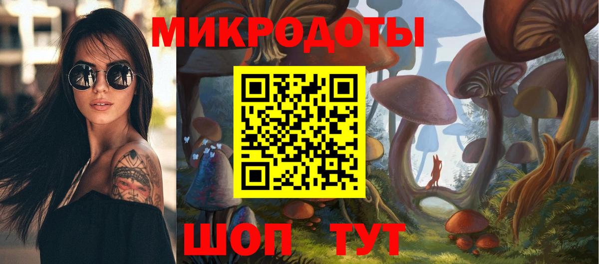 Псилоцибиновые грибы мицелий Соль-Илецк